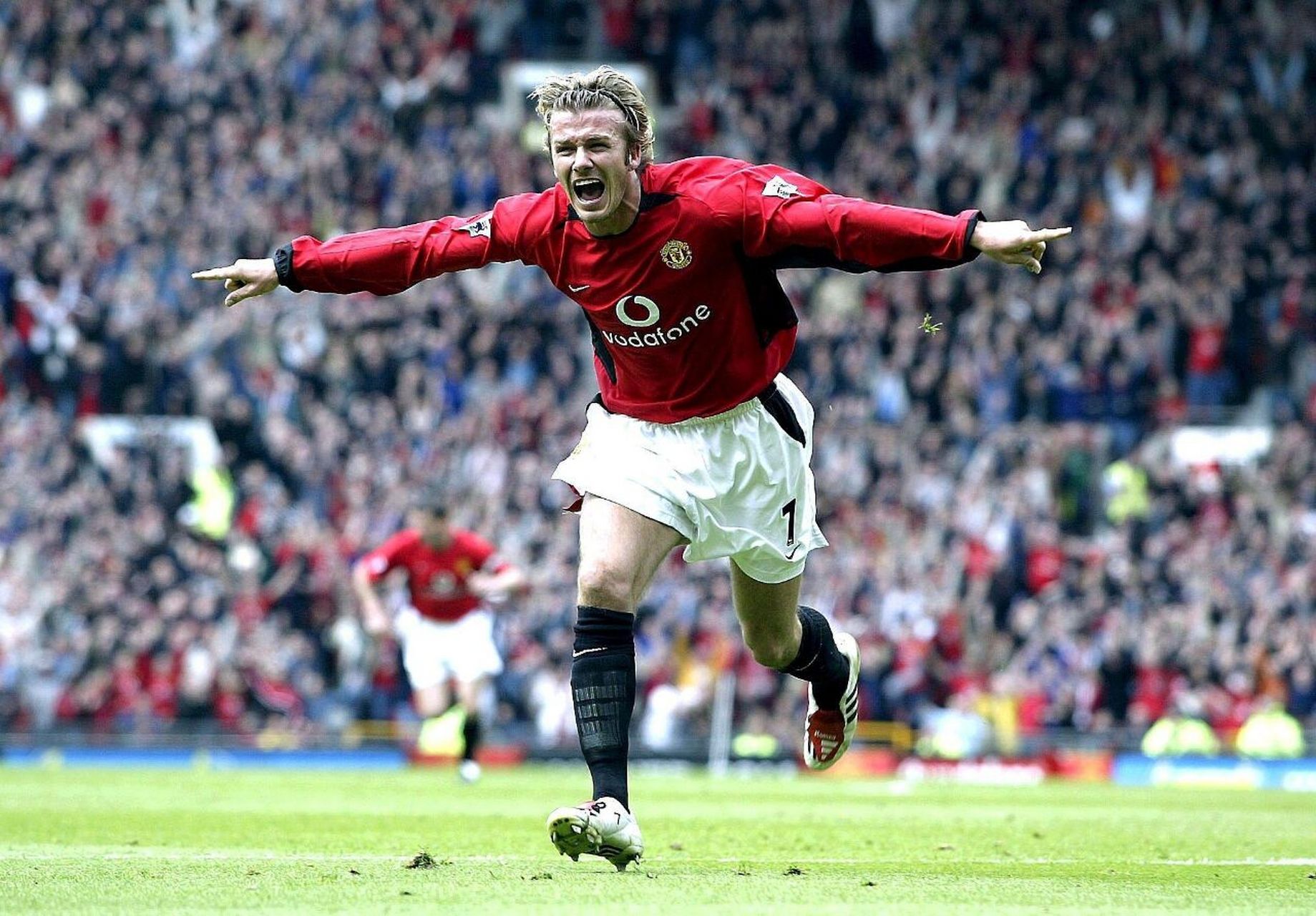 还充分避开 还充分避开