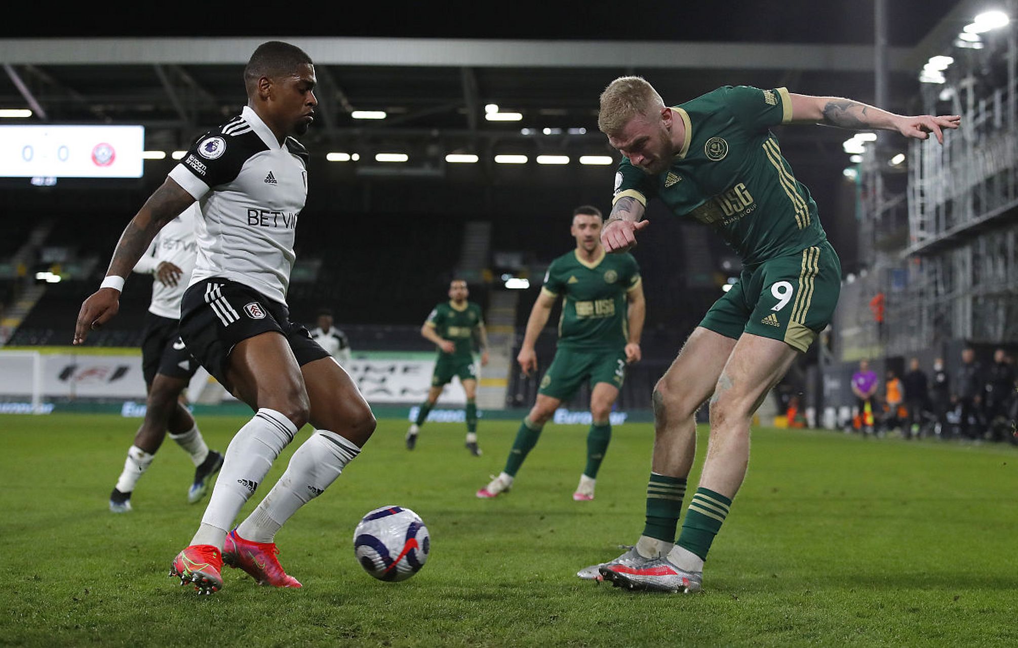 不仅为喜爱 不仅为喜爱